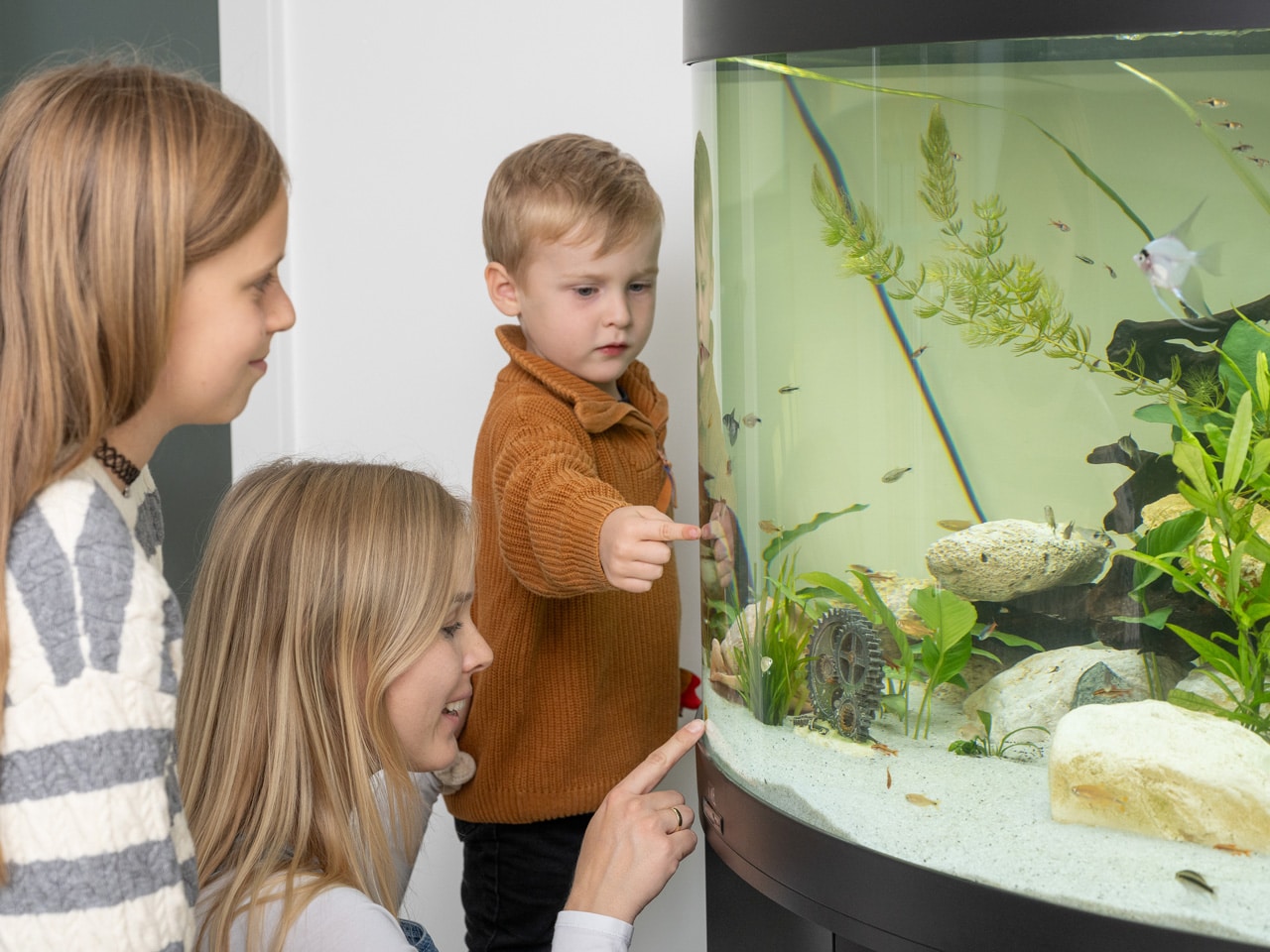 Kinder beim Aquarium in der HNO Praxis Torsten Matuschkowitz